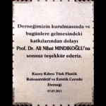 plaket3